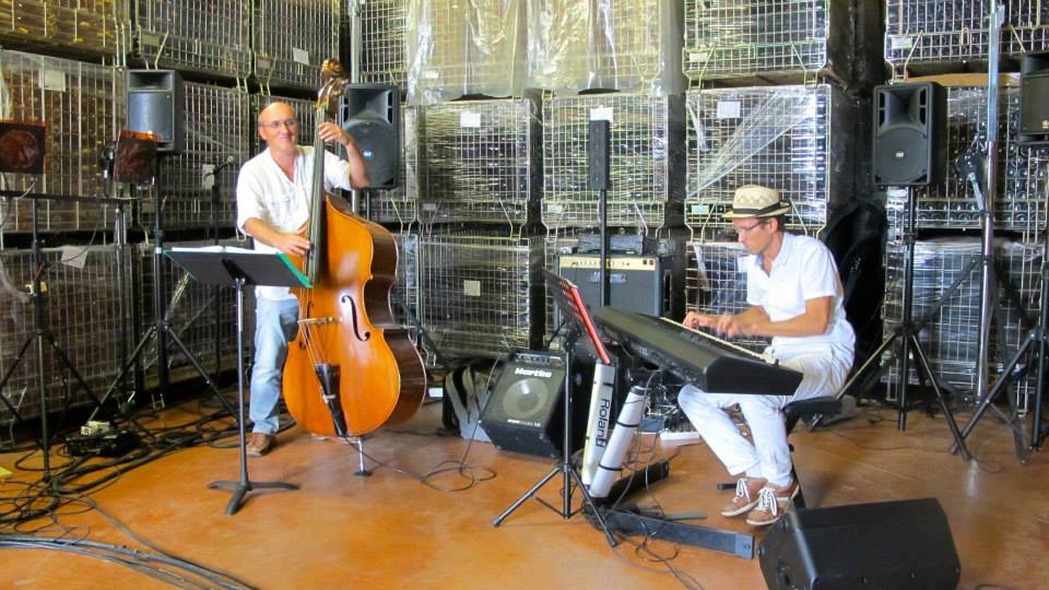  Orchestre de variété mariage, anniversaire, bapteme